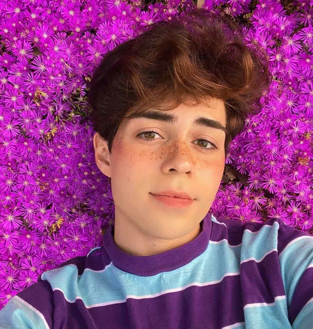 Benji Krol - Wiki, Age, Boyfriend, Net Worth, Family, Height