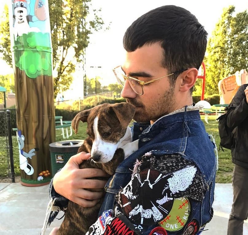 Joe Jonas with a dog
