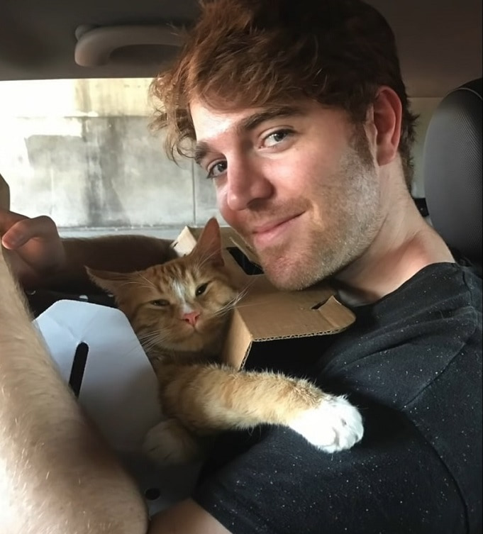Shane Dawson with a cat Cheeto