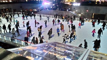 Introduction to the USA's Emerging Trends