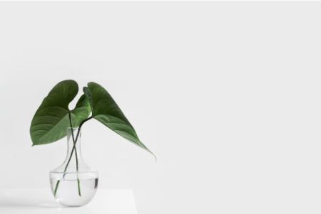 The Science of Clean Advanced Techniques Used by Dallas Commercial Cleaners